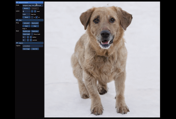 Visual example from Image Manipulation with Your Mouse! Drag Your Gan Explained