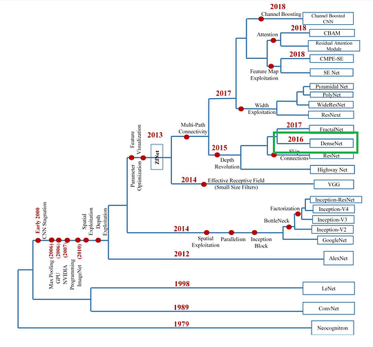 Visual example from State of the Art Convolutional Neural Networks Explained DenseNet