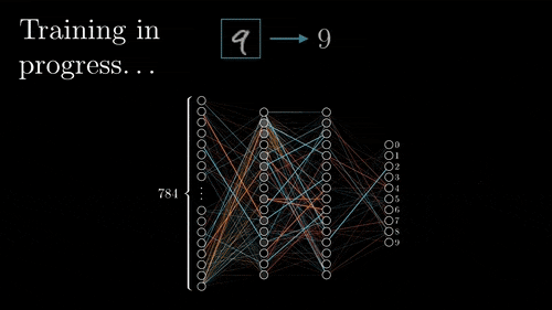 Visual example from State of the Art Convolutional Neural Networks Explained DenseNet