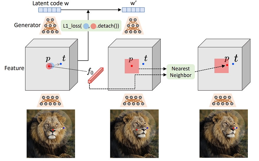 Visual example from Image Manipulation with Your Mouse! Drag Your Gan Explained
