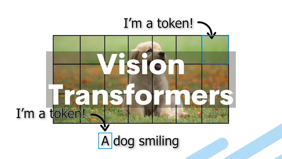 Visual example from An Amputee with an AI Powered Hand!