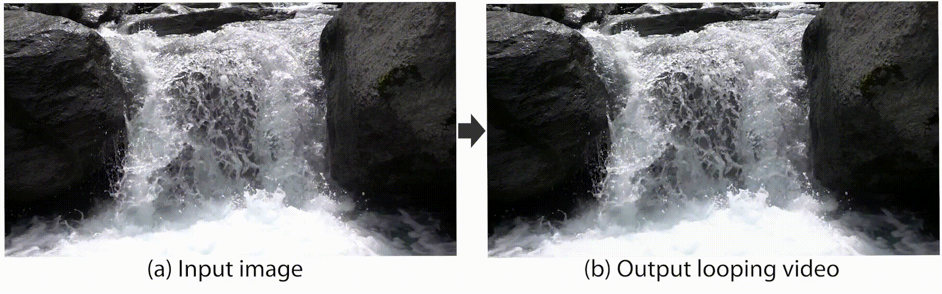 Visual example from Create Realistic Animated Looping Videos from Pictures